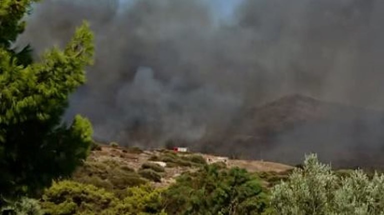 Φωτιά στο Σούνι