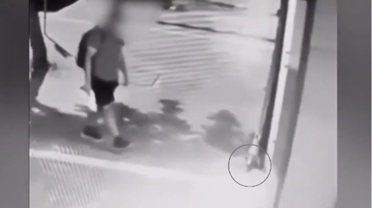 Γατάκι