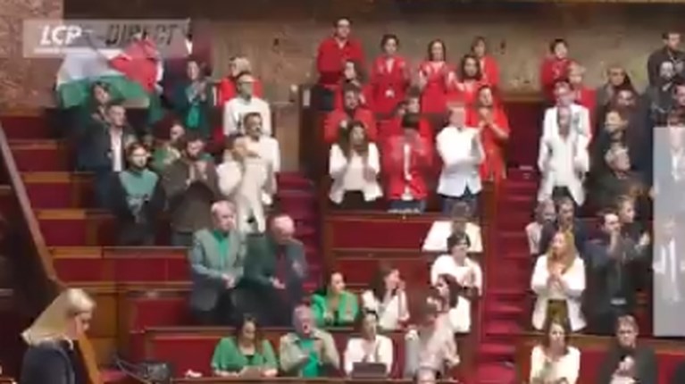 Βουλευτές στη Γαλλία - Παλαιστίνη