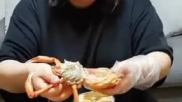 Κινέζα Influencer