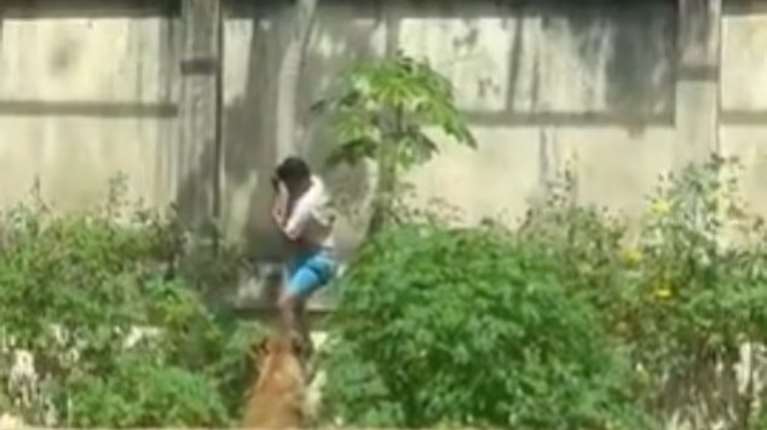 Σοκαριστικός θάνατος στη Βραζιλία για 19χρονο: Μπήκε σε κλουβί λιονταριών και τον κατασπάραξαν