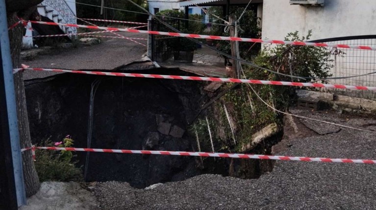 ΦΥΤΕΙΕΣ ΑΓΡΙΝΙΟ