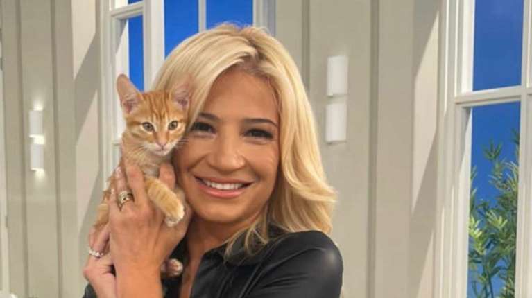 Φαίη Σκορδά: Ολονύχτια περιπέτεια με τον γάτο της, τον Cookie - &quot;Πρέπει να ξύπνησα τη γειτονιά&quot;