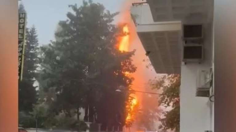 Ναύπακτος: Δέντρο τυλίχτηκε στις φλόγες από κεραυνό, δίπλα σε σπίτια [βίντεο]