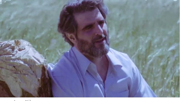 ΑΓΡΙΕΣ ΜΕΛΙΣΣΕΣ