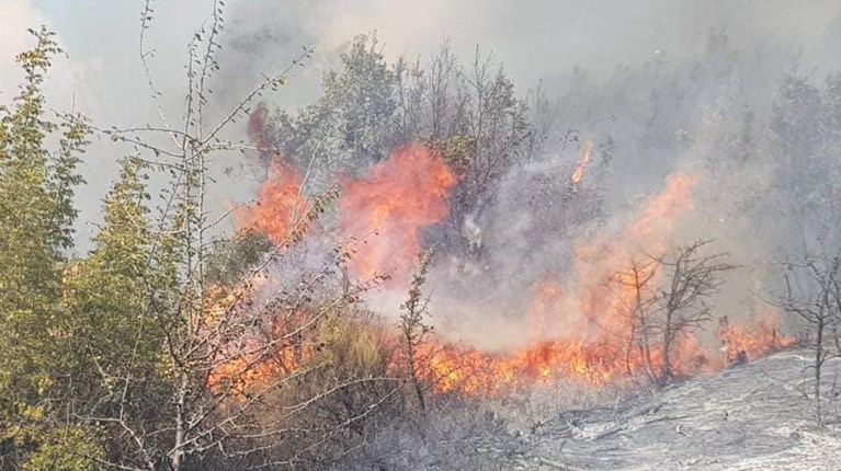 ΦΩΤΙΑ ΣΤΟΝ ΕΒΡΟ