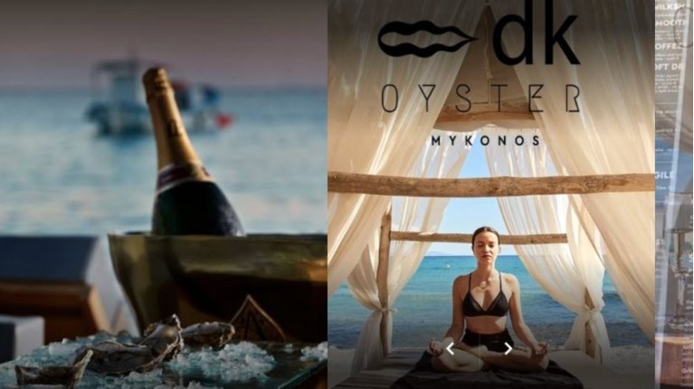 DK OYSTER SYNTHE