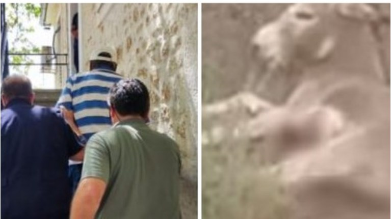 ΓΑΙΔΑΡΟΣ