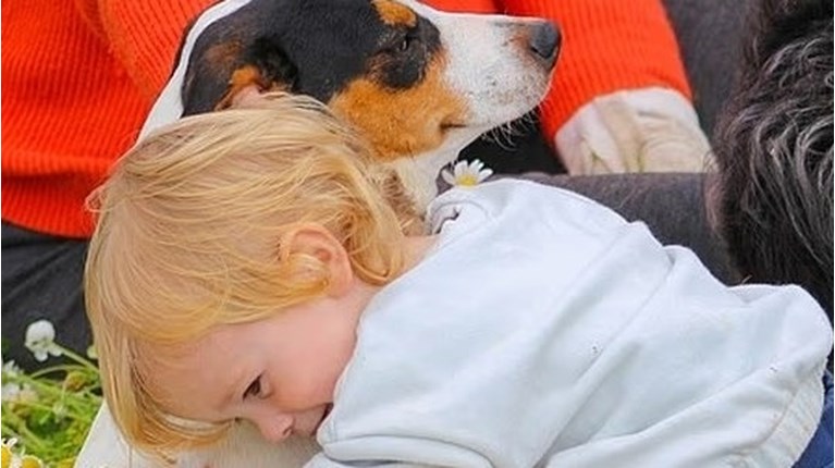 ζακυνθος σκυλος