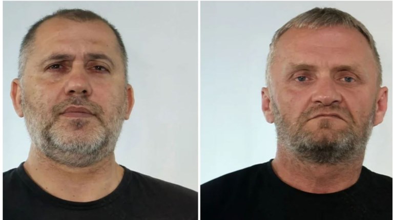 ΡΟΖ ΠΑΝΘΗΡΕΣ ΦΩΤΟΓΡΑΦΙΕΣ
