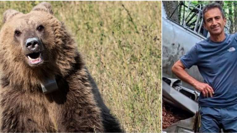 Δράμα: Ο θάνατος του ορειβάτη οφείλεται στην επίθεση της αρκούδας, φαίνεται στο βίντεο- Ακούγονται γαυγίσματα και μετά ένα Ωχ