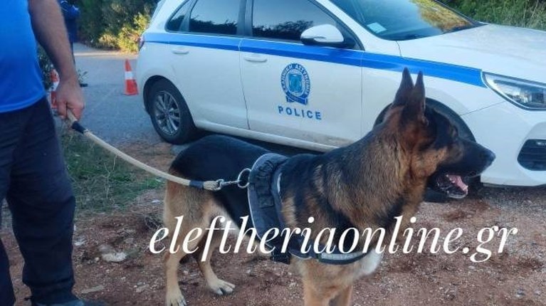 Νεκρός στην Κυπαρισσία