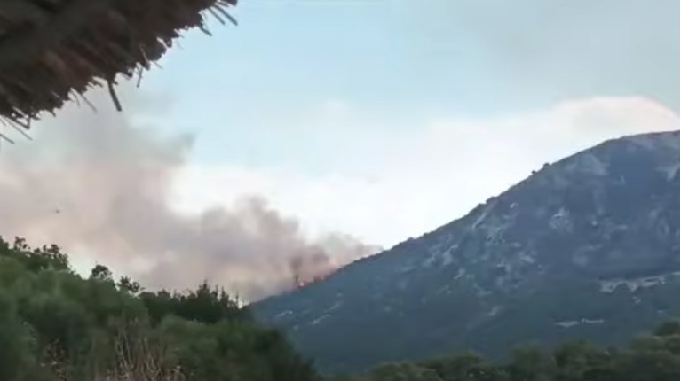 βονιτσα φωτια