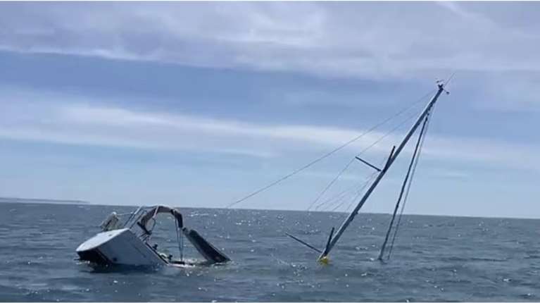 Τρόμος: Όρκες βουλιάζουν ιστιοφόρο ανοιχτά της Πορτογαλίας [βίντεο]