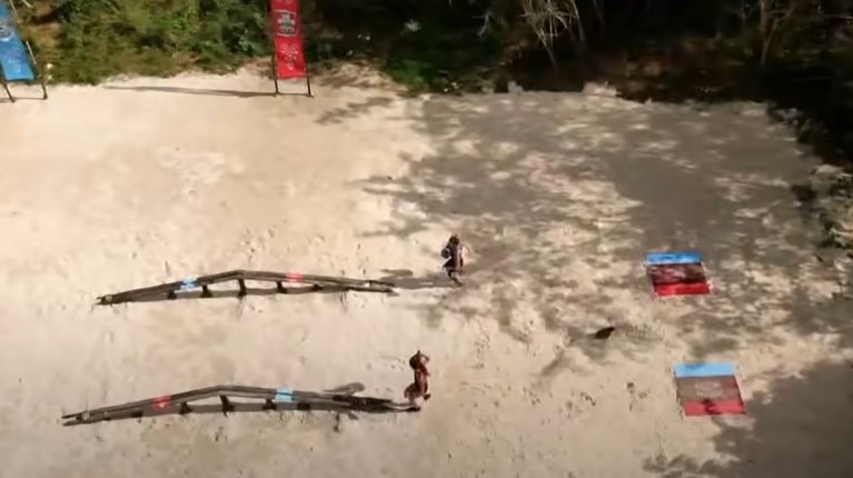 Survivor