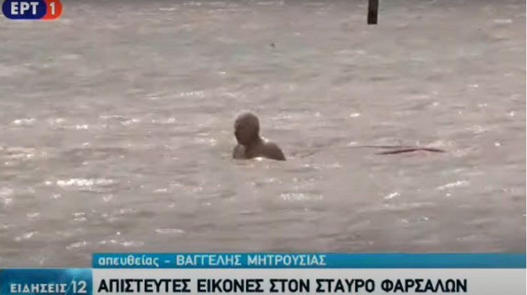 ΔΙΑΣΩΣΗ ΗΛΙΚΙΩΜΕΝΟΥ