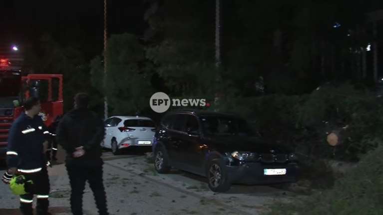Χολαργός: Έπεσε δέντρο στη Μεσογείων - Ζημιές σε σταθμευμένο αυτοκίνητο
