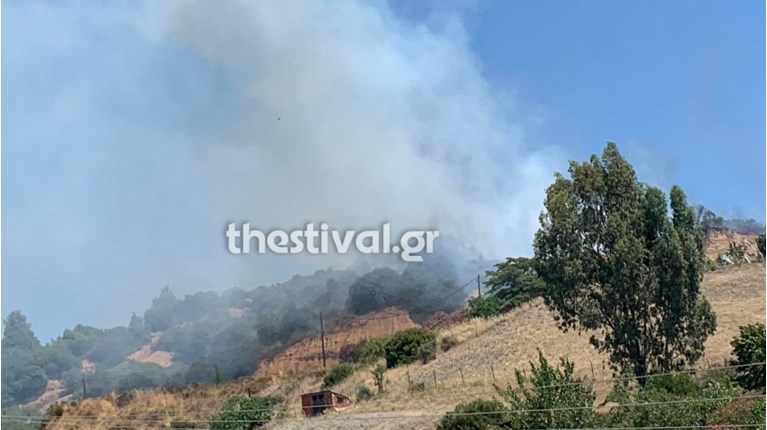 Νικητή