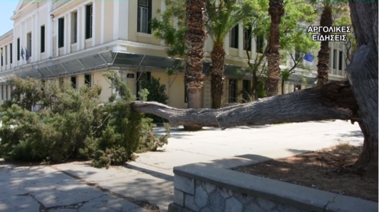 ΚΛΑΔΙ ΑΡΓΟΣ