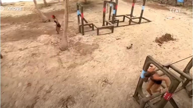 Survivor