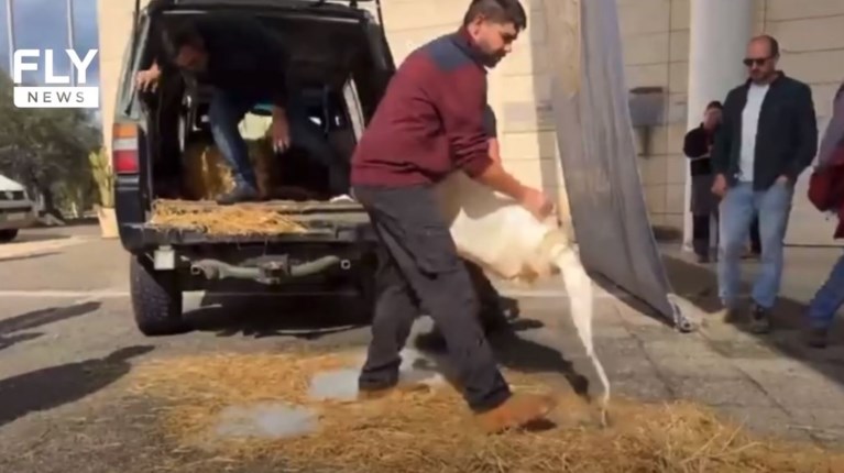 ΑΓΡΟΤΕΣ ΣΠΑΡΤΗ