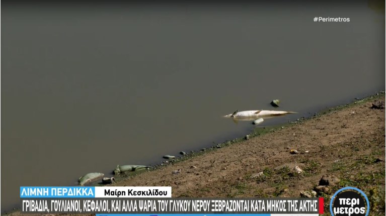ΝΕΚΡΑ ΨΑΡΙΑ