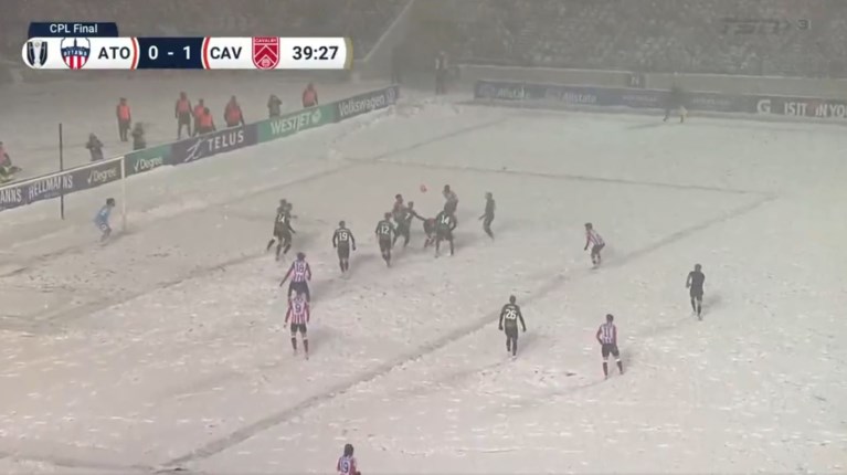 ΑΝΑΠΟΔΟ ΨΑΛΙΔΙ ΧΙΟΝΟΘΥΕΛΛΑ ΚΑΝΑΔΑΣ