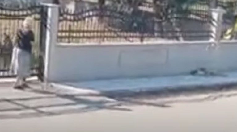 Ηλικιωμένη - κακοποίηση ζώου