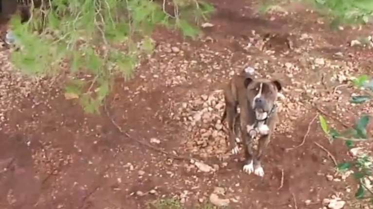 Ζάκυνθος: &quot;Να εγκαταλείψω εγώ το παιδί μου;&quot; - Ο πατέρας του 2χρονου απαντά στις επικρίσεις για αμέλεια