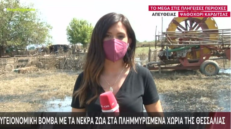 ΔΗΜΟΣΙΟΓΡΑΦΟΣ MEGA
