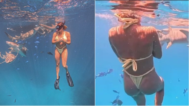 σαμπαλενκα