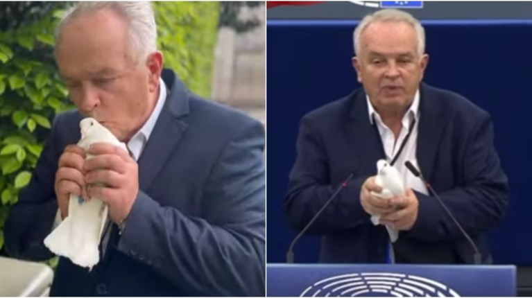 Σλοβάκος ευρωβουλευτής