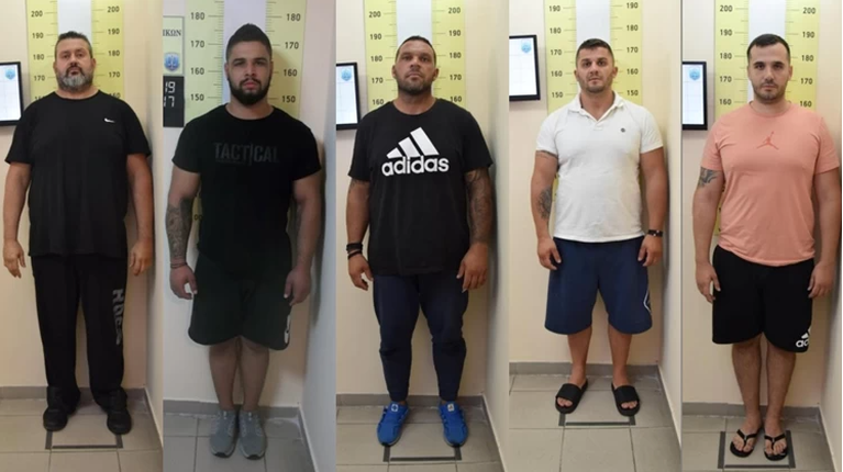 ΤΟΚΟΓΛΥΦΟΙ
