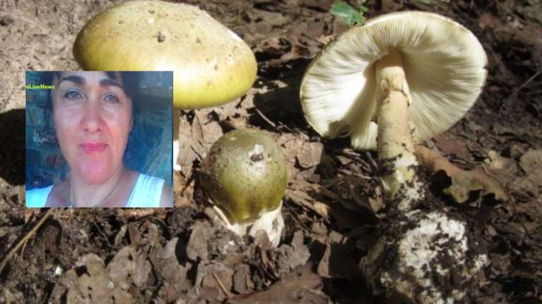 Πέλλα: &quot;Δεν είναι η πρώτη φορά που μάζεψαν μανιτάρια&quot;, λέει ο γιος του ζευγαριού - &quot;Δεν έχει βρεθεί μόσχευμα&quot;