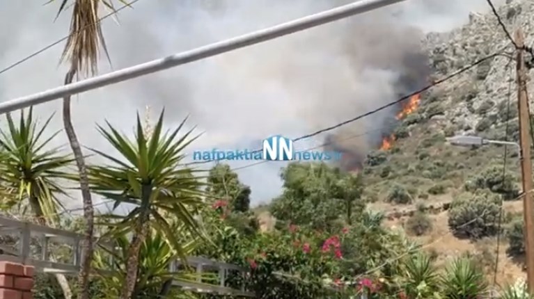 φωτια Ναυπακτος