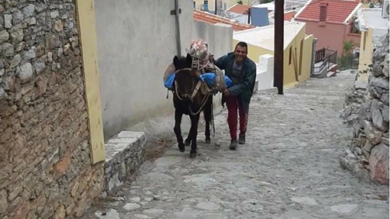 γαιδουράκι