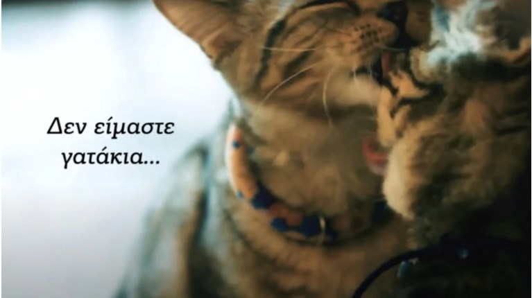Βίντεο ΚΝΕ