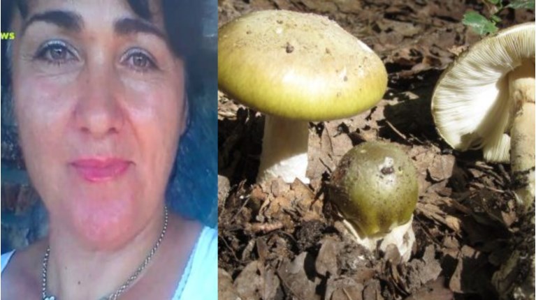 ΖΕΥΓΑΡΙ ΜΑΝΙΤΑΡΙΑ