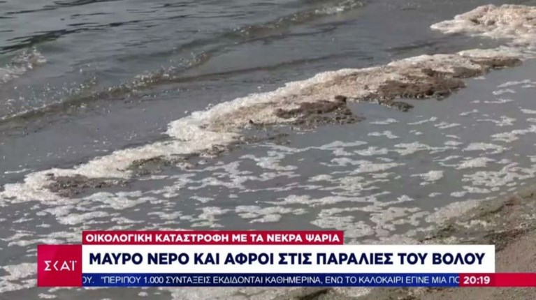 ΝΕΚΡΑ ΨΑΡΙΑ ΒΟΛΟΣ