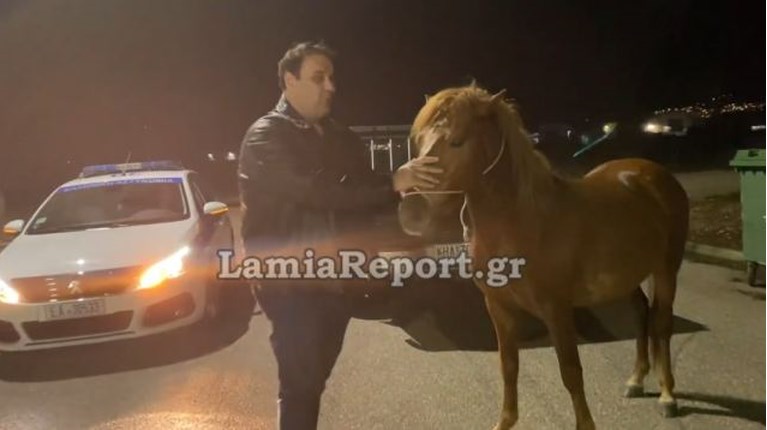 ΑΛΟΓΟ ΛΑΜΙΑ