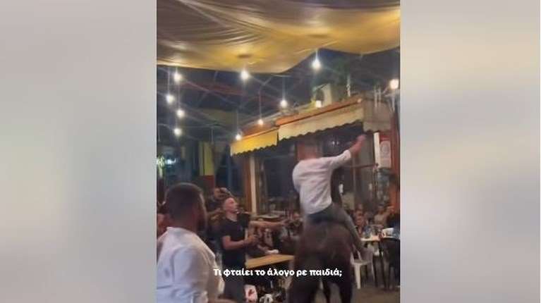 Λέσβος: Στον εισαγγελέα με 30 βίντεο η καταγγελία για την κακοποίηση αλόγων στο πανηγύρι της Αγιάσου [βίντεο]