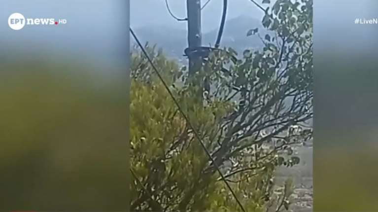 Πάρνηθα: Βίντεο ντοκουμέντο - Εκρήξεις σε κολόνα, πώς μπορεί να προκληθεί μια φωτιά