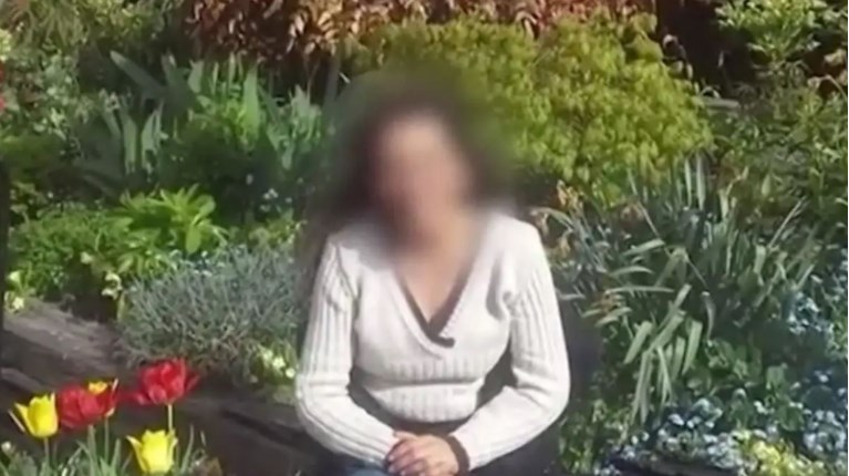 Οικιακή βοηθός Ελληνικό