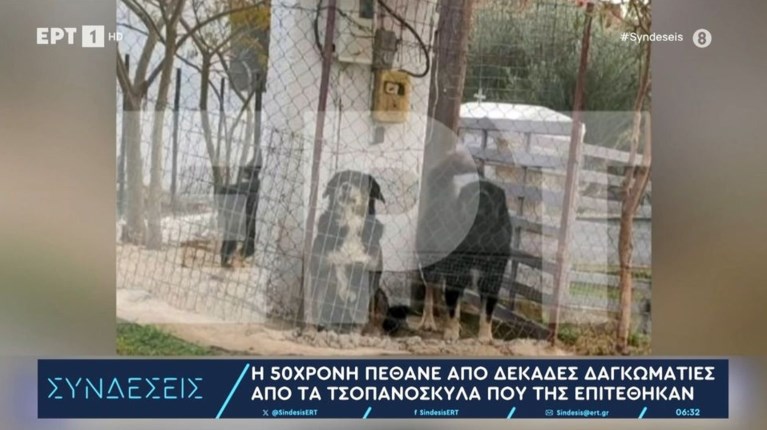 σκυλια