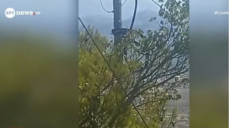 ΠΑΡΝΗΘΑ ΚΟΛΟΝΑ ΔΕΗ
