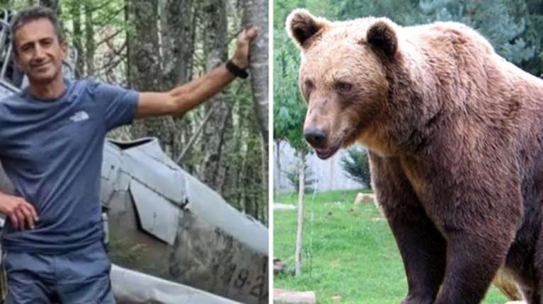 Δράμα: Τι δείχνει το βίντεο με τις τελευταίες στιγμές του 61χρονου ορειβάτη και το επεισόδιο με την αρκούδα