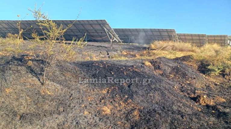 Φωτιά στον Δομοκό: Πυρκαγιά κοντά σε εγκαταστάσεις φωτοβολταϊκών στον Άγιο Στέφανο