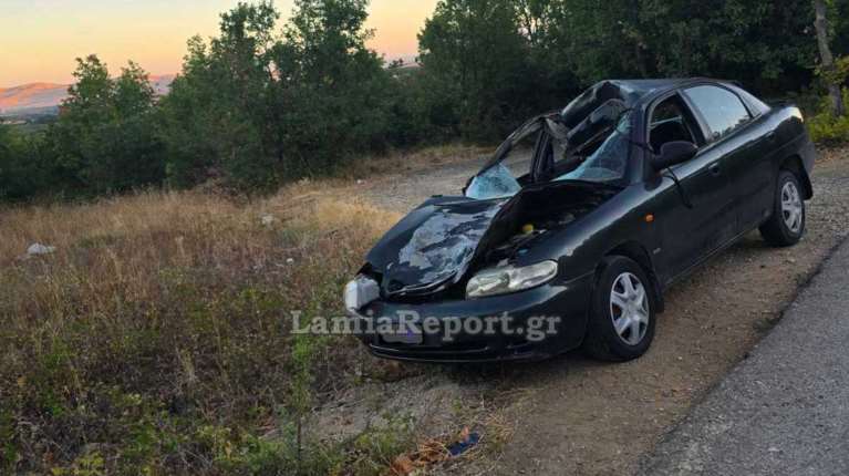 Τροχαίο με αγελάδα στη Φθιώτιδα - Τραυματίστηκε σοβαρά μια γυναίκα [εικόνες]