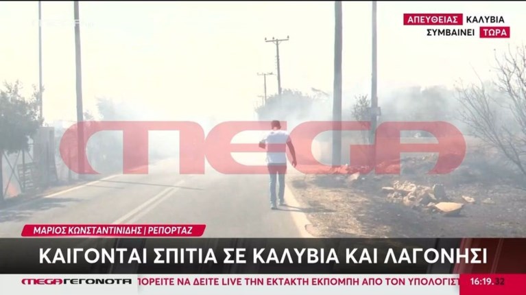 ΦΩΤΙΑ ΛΑΓΟΝΗΣΙ