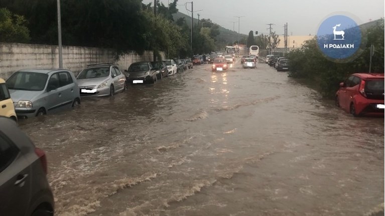 ΡΟΔΟΣ ΠΛΉΜΜΥΡΕΣ